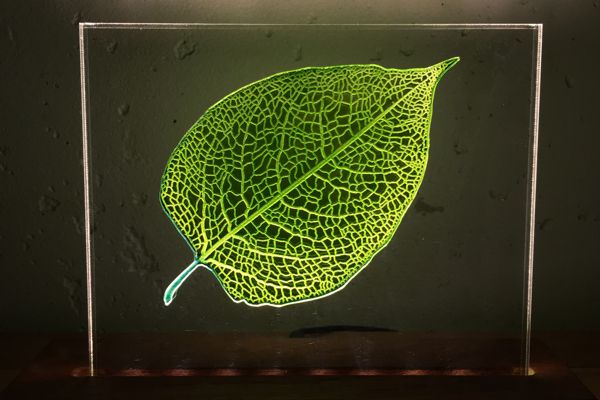 Green leaf light impression lamp
